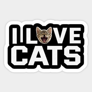 I LOVE CATS V.1 Sticker